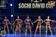 Sochi David Cup - 2017
