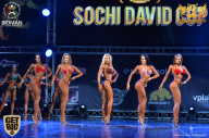 Sochi David Cup - 2017