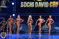Sochi David Cup - 2017