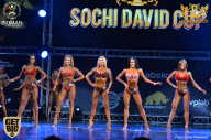 Sochi David Cup - 2017