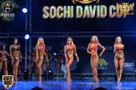 Sochi David Cup - 2017
