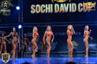 Sochi David Cup - 2017