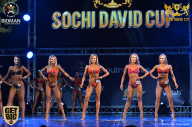 Sochi David Cup - 2017