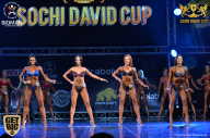 Sochi David Cup - 2017