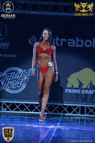 Sochi David Cup - 2017