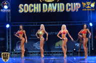 Sochi David Cup - 2017