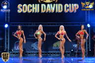 Sochi David Cup - 2017