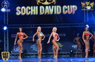 Sochi David Cup - 2017