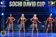 Sochi David Cup - 2017