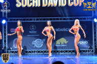 Sochi David Cup - 2017