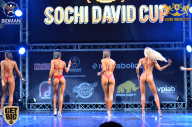Sochi David Cup - 2017
