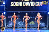 Sochi David Cup - 2017