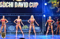 Sochi David Cup - 2017