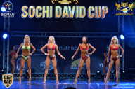 Sochi David Cup - 2017