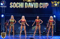 Sochi David Cup - 2017