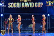 Sochi David Cup - 2017