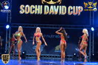 Sochi David Cup - 2017