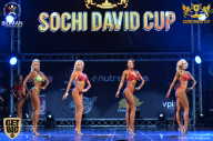 Sochi David Cup - 2017