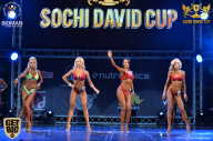 Sochi David Cup - 2017