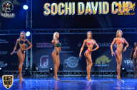 Sochi David Cup - 2017