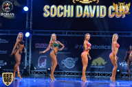 Sochi David Cup - 2017
