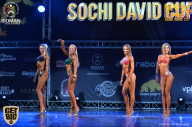 Sochi David Cup - 2017