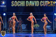 Sochi David Cup - 2017