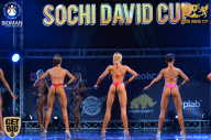 Sochi David Cup - 2017