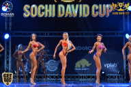 Sochi David Cup - 2017