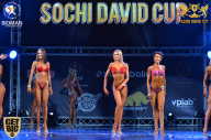 Sochi David Cup - 2017