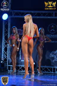 Sochi David Cup - 2017