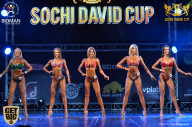 Sochi David Cup - 2017