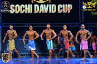 Sochi David Cup - 2017