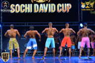 Sochi David Cup - 2017