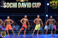 Sochi David Cup - 2017