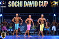 Sochi David Cup - 2017