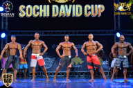 Sochi David Cup - 2017