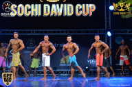 Sochi David Cup - 2017