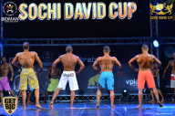 Sochi David Cup - 2017