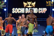 Sochi David Cup - 2017