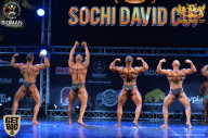 Sochi David Cup - 2017