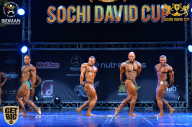 Sochi David Cup - 2017
