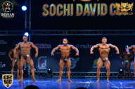 Sochi David Cup - 2017