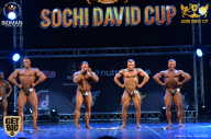 Sochi David Cup - 2017