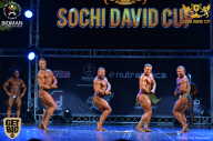 Sochi David Cup - 2017