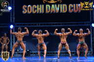 Sochi David Cup - 2017