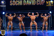 Sochi David Cup - 2017