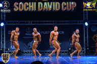 Sochi David Cup - 2017