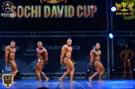 Sochi David Cup - 2017