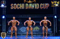 Sochi David Cup - 2017
